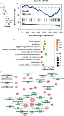 Functional Gene Module–Based Identification of Phillyrin as an Anticardiac Fibrosis Agent